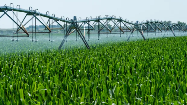 Irrigação agrícola terá aumento de 4,2 milhões de hectares TCP Partners